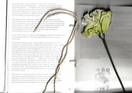 Spread with a flower on translucent paper