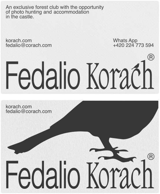 Fedalio Korach business cards without a background