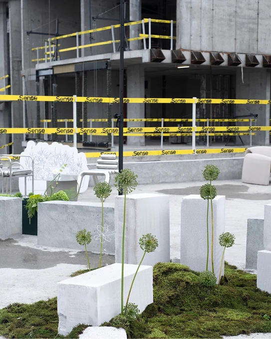 Concrete blocks and moss on the terrace