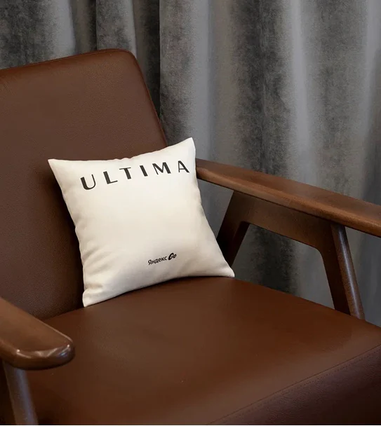 Ultima cushion on a leather armchair